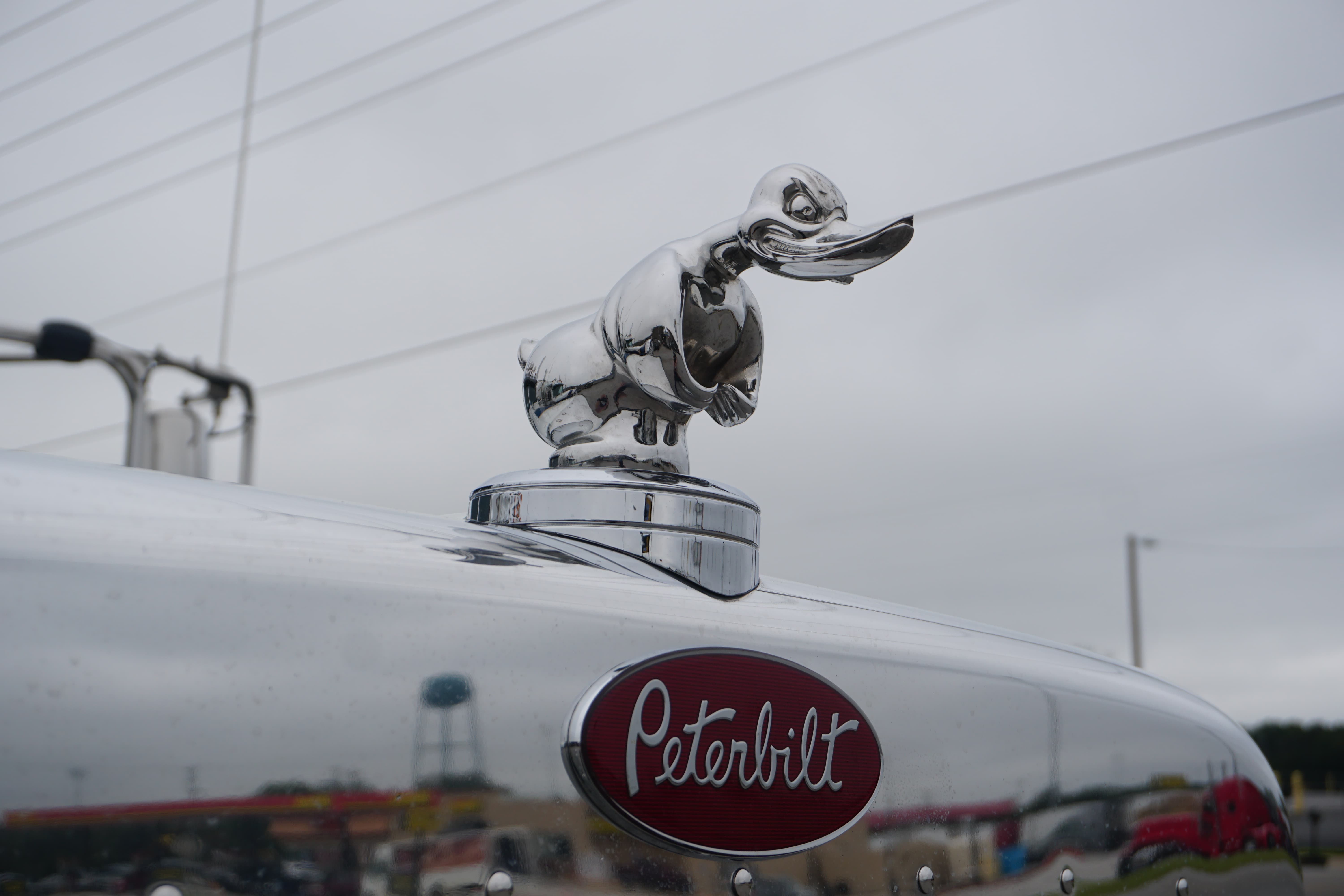 Angry Duck Hood Ornament on a Peterbilt Truck