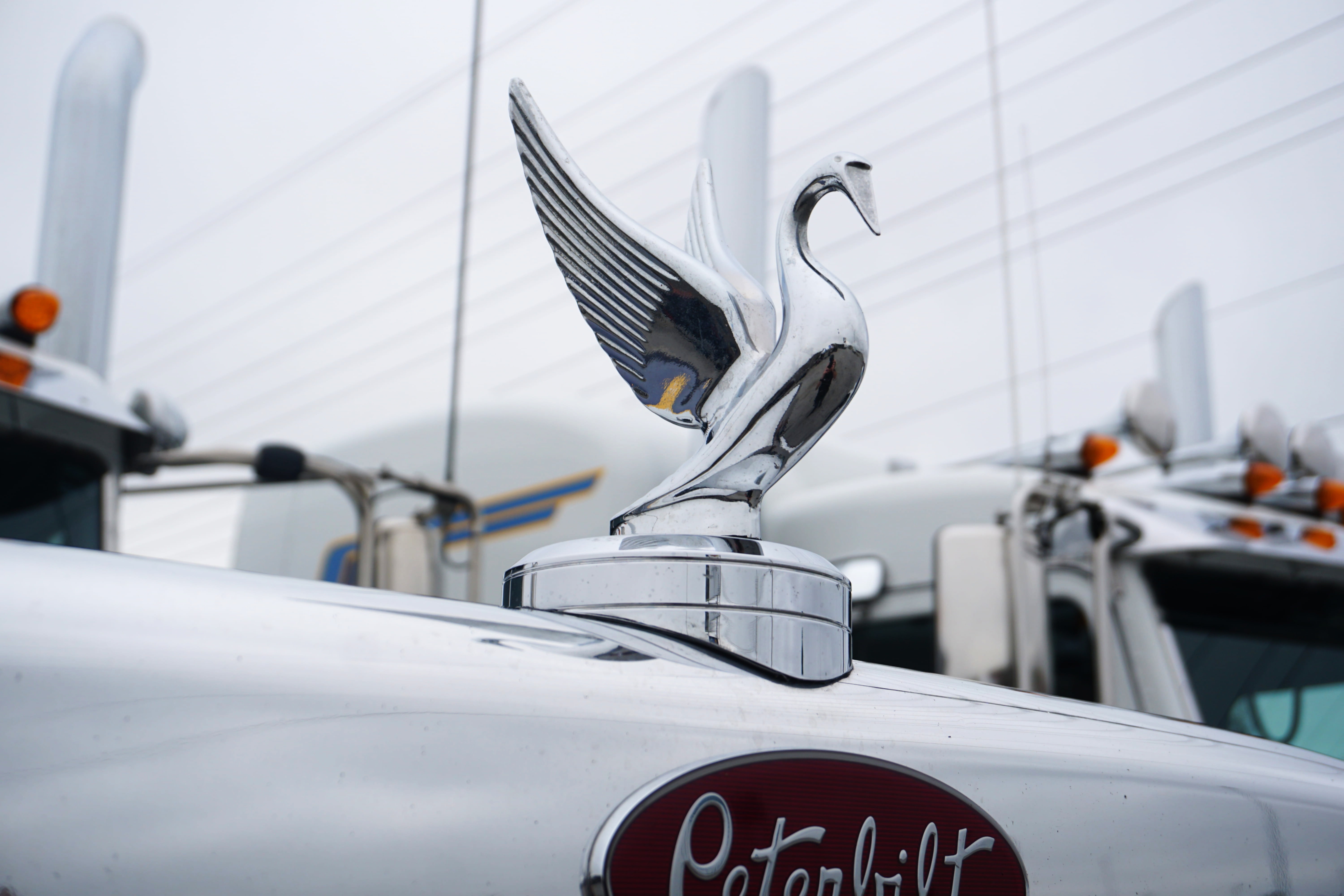Chrome Swan Hood Ornament on Peterbilt Truck